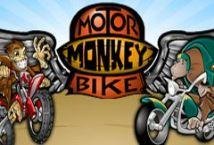 Motorbike Monkey slot